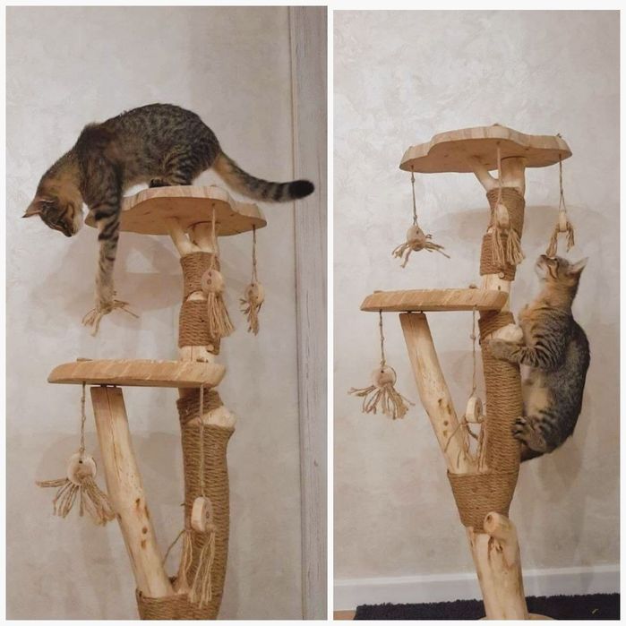 Когтеточка. Гральний комплекс, будинок для кота, кішки. Дряпка котиків