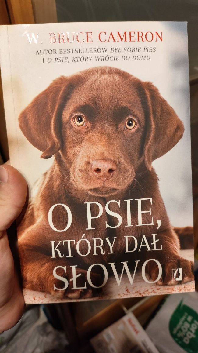 Książki o psach, jedna o jeżyku