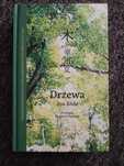 Drzewa. Aya Koda