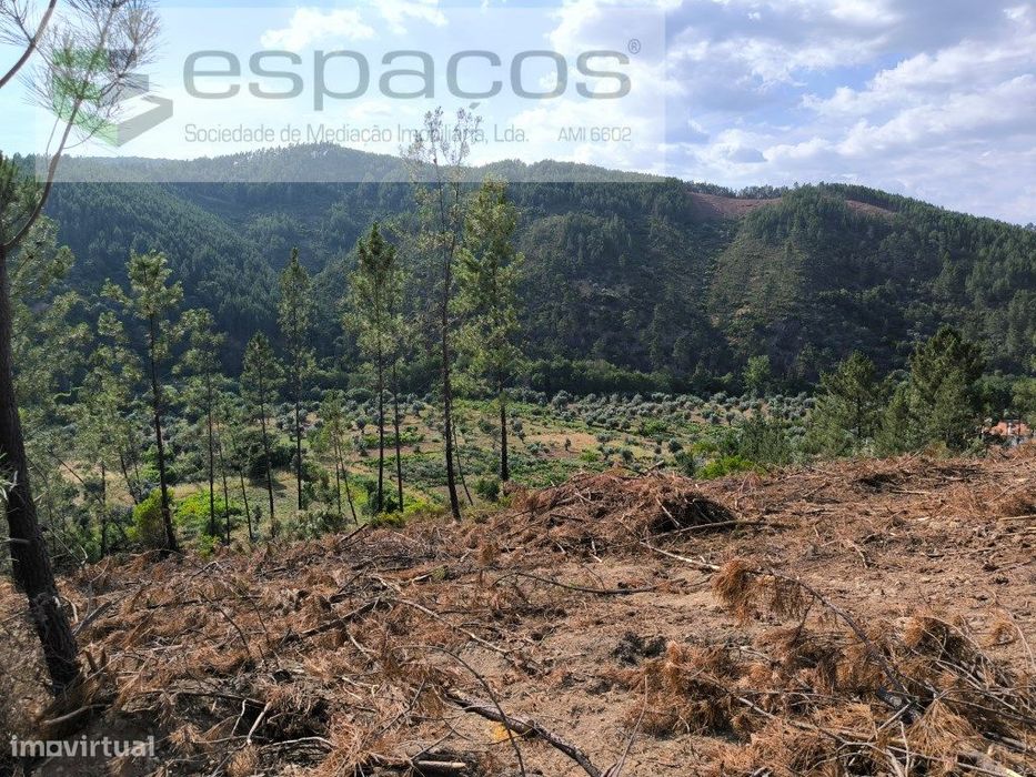 Terreno rústico junto ao Sesmo