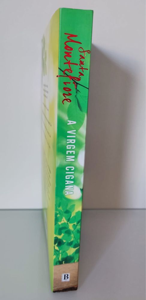Livro A virgem cigana