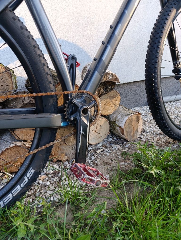 Rower górski Trek Procaliber 9.5 2022