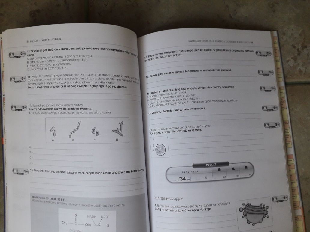 Biologia Operon testy matura