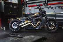 Harley-Davidson Softail Street Bob Harley-Davidson FXBBS Hornet