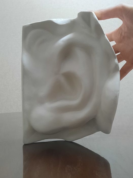 Частини обличчя Давида