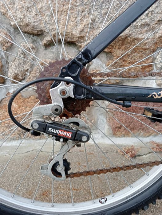 Bicicleta para mulher um criança