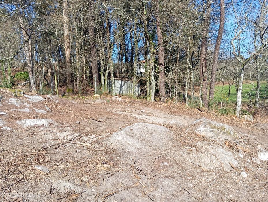 Terreno com 1 hectare em Vinhós, Fafe