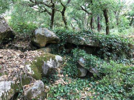 Vendo Terreno com 1.5 hectares