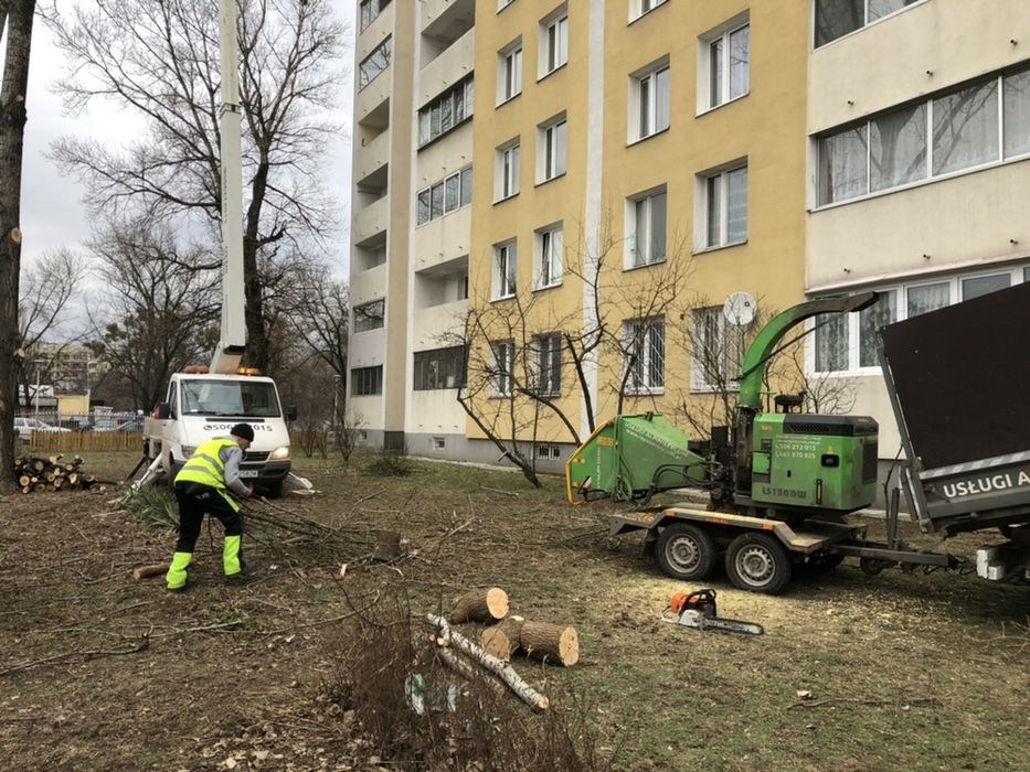 Wycinka drzew Radzymin Wolomin Wyszków podnosnik koszowy wynajem