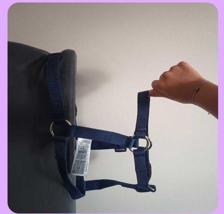 Kantar Fouganza Decathlon