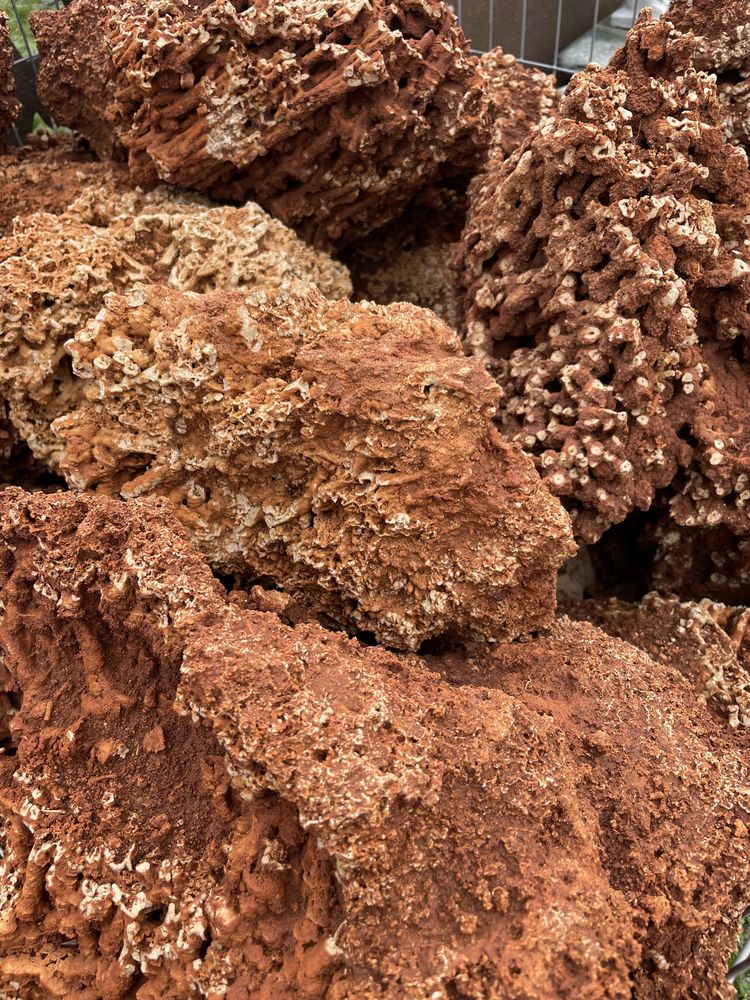 Czerwony Wapień Koralowy Kamień do Akwarium Skała Malawi Tanganika