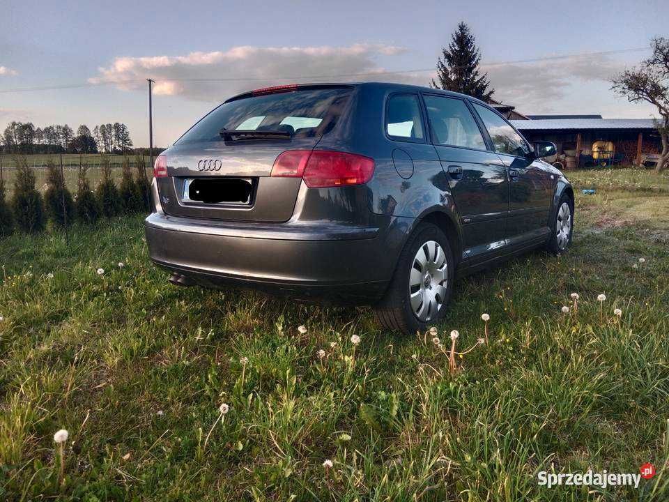 Audi A3 8p 1.9 TDI
