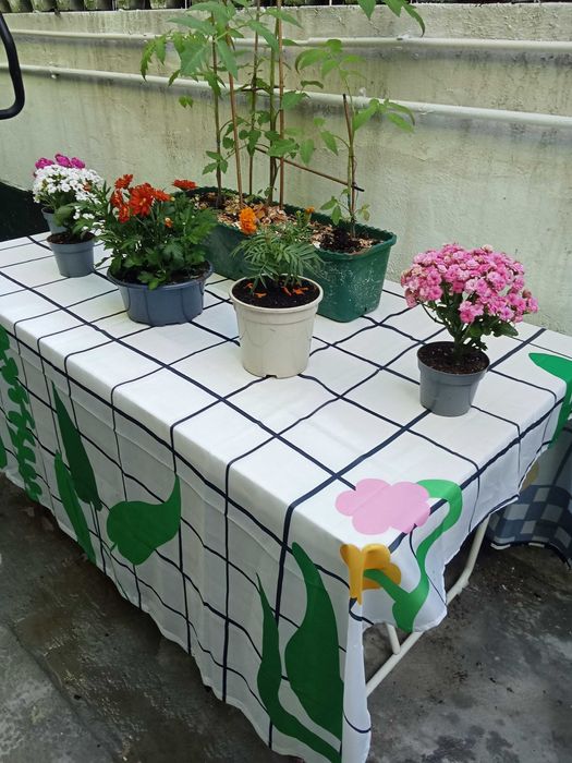 Mesa de refeição com 6 lugares