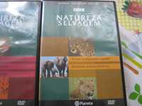 DVDs BBC Natureza Selvagem