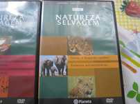 DVDs BBC Natureza Selvagem