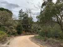 2 Hectares Rio Maior