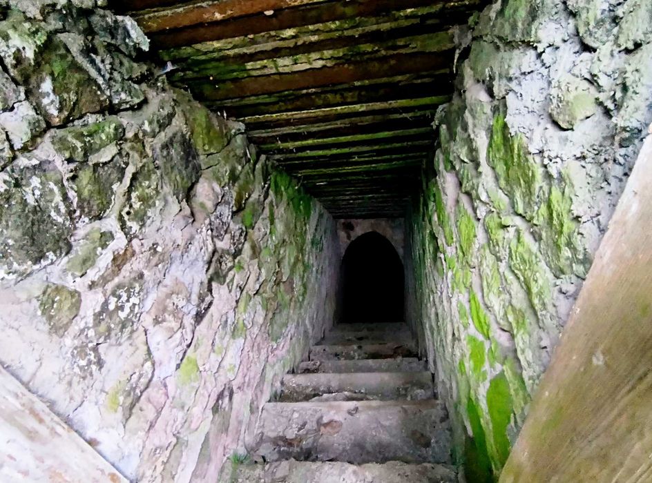 Дім 63 м2 українська хата піч Дмитрушки 2 км Умань 53 сотки + 18 соток