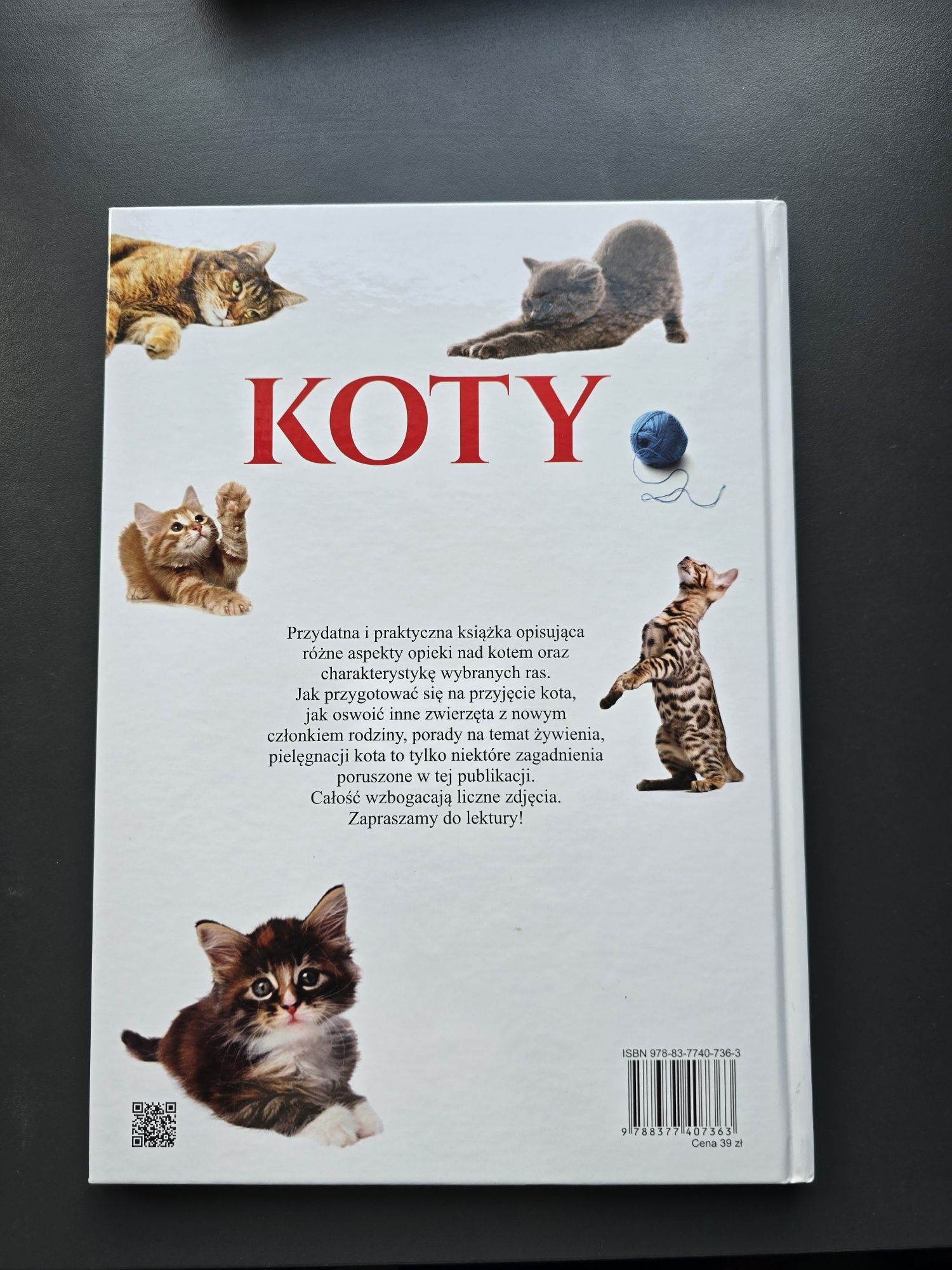 Koty Nasi Ulubieńcy