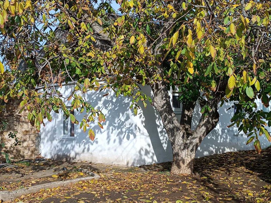 Продаю будинок с.М-Погорілове, пишіть на вайбер. Можно по сертифікату