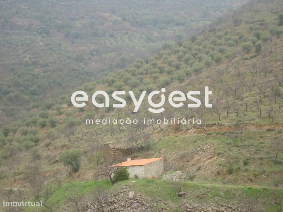 Terreno Rústico na freguesia de Ligares, Freixo de Espada à Cinta