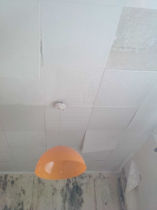 Група нежитлових приміщень по пров. Павлова, 16 м. Сміла, 984,5 кв.м,