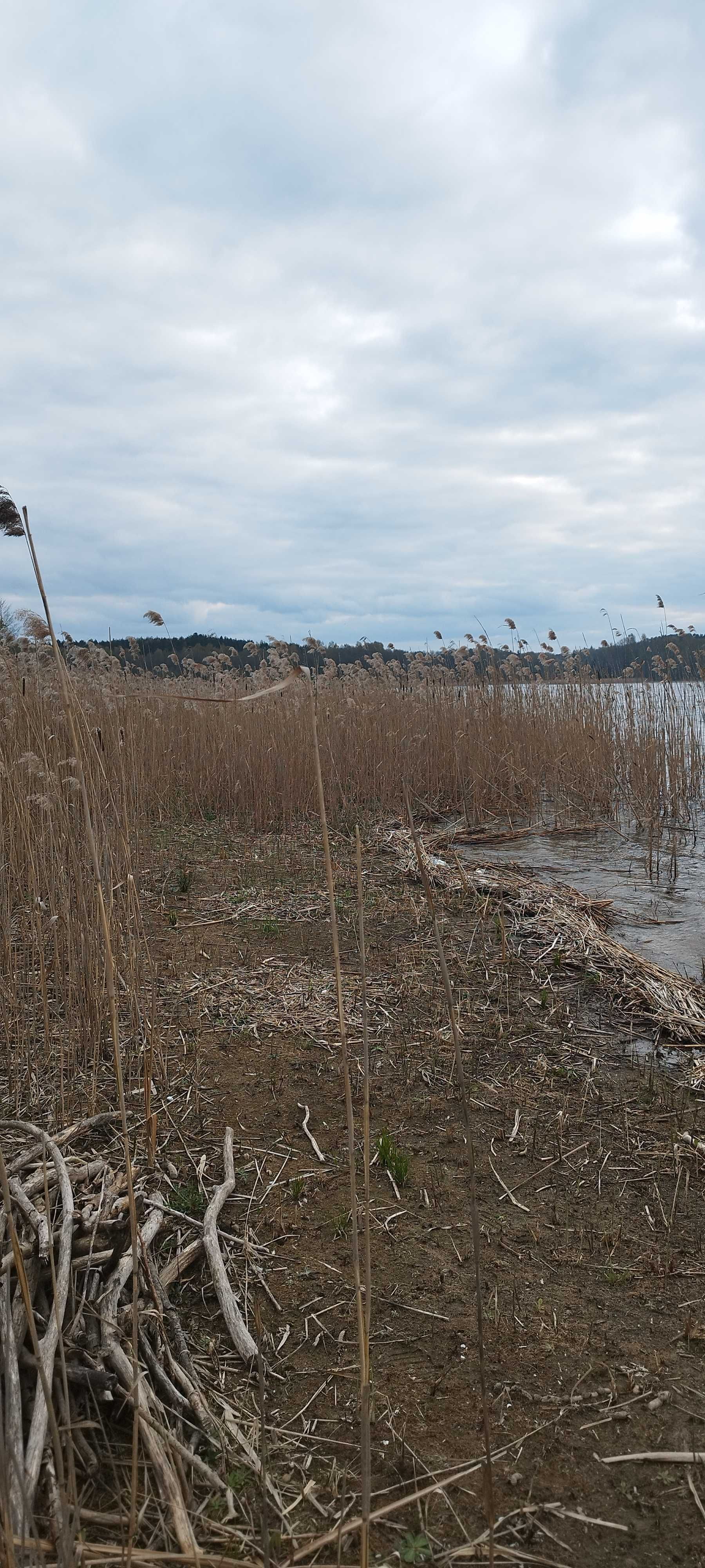 Działka wynajem dzierżawa nad jeziorem Mazury Mikołajki majówka