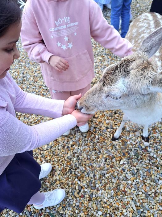 Espaço eventos/festas