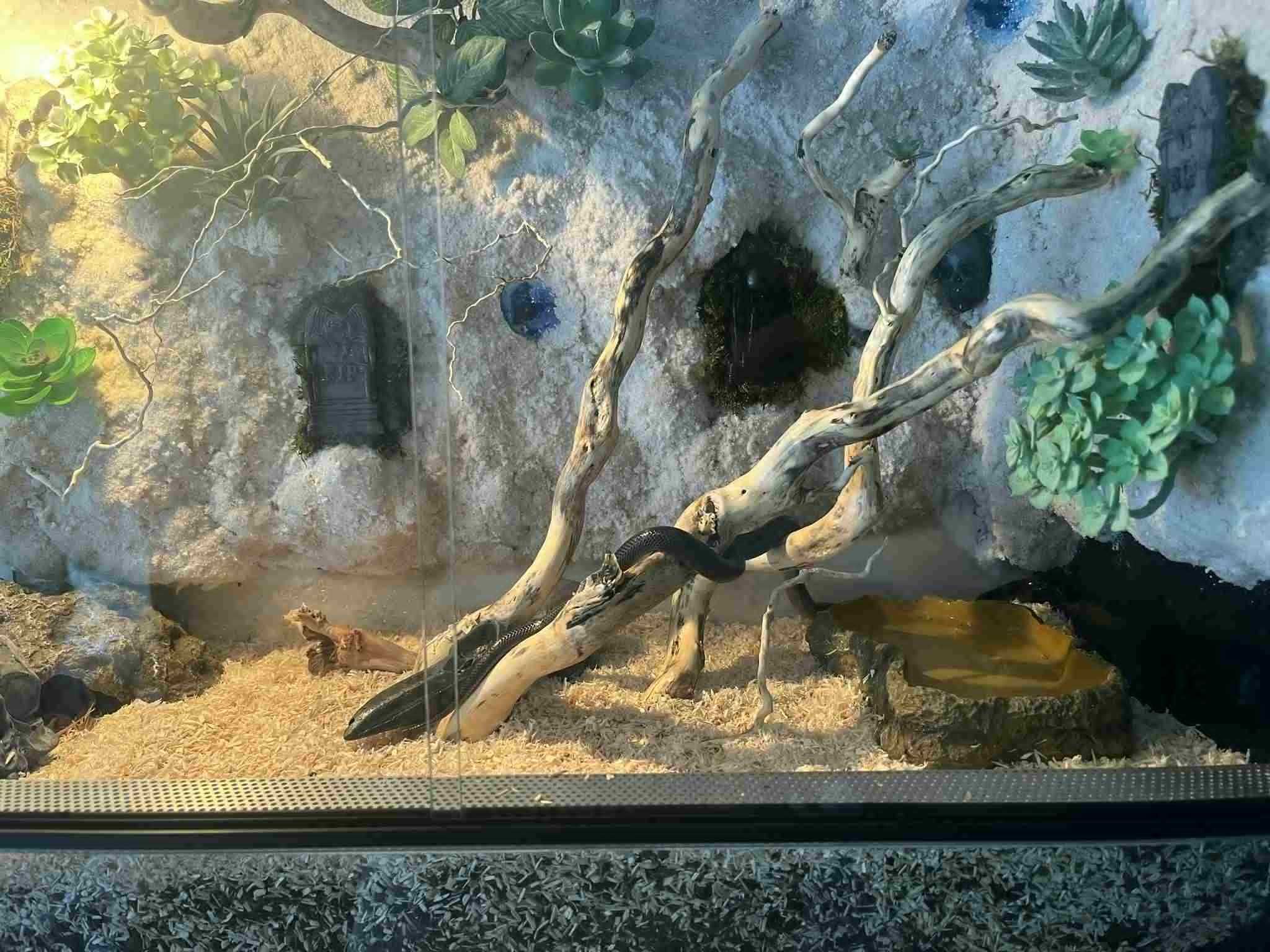 terrarium 60x30x40