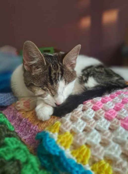 Niewidoma Calineczka – mała wojowniczka, która zawalczyła o życie