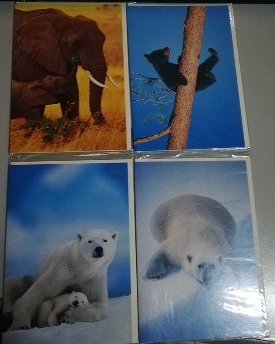 8 postais divertidos - novos