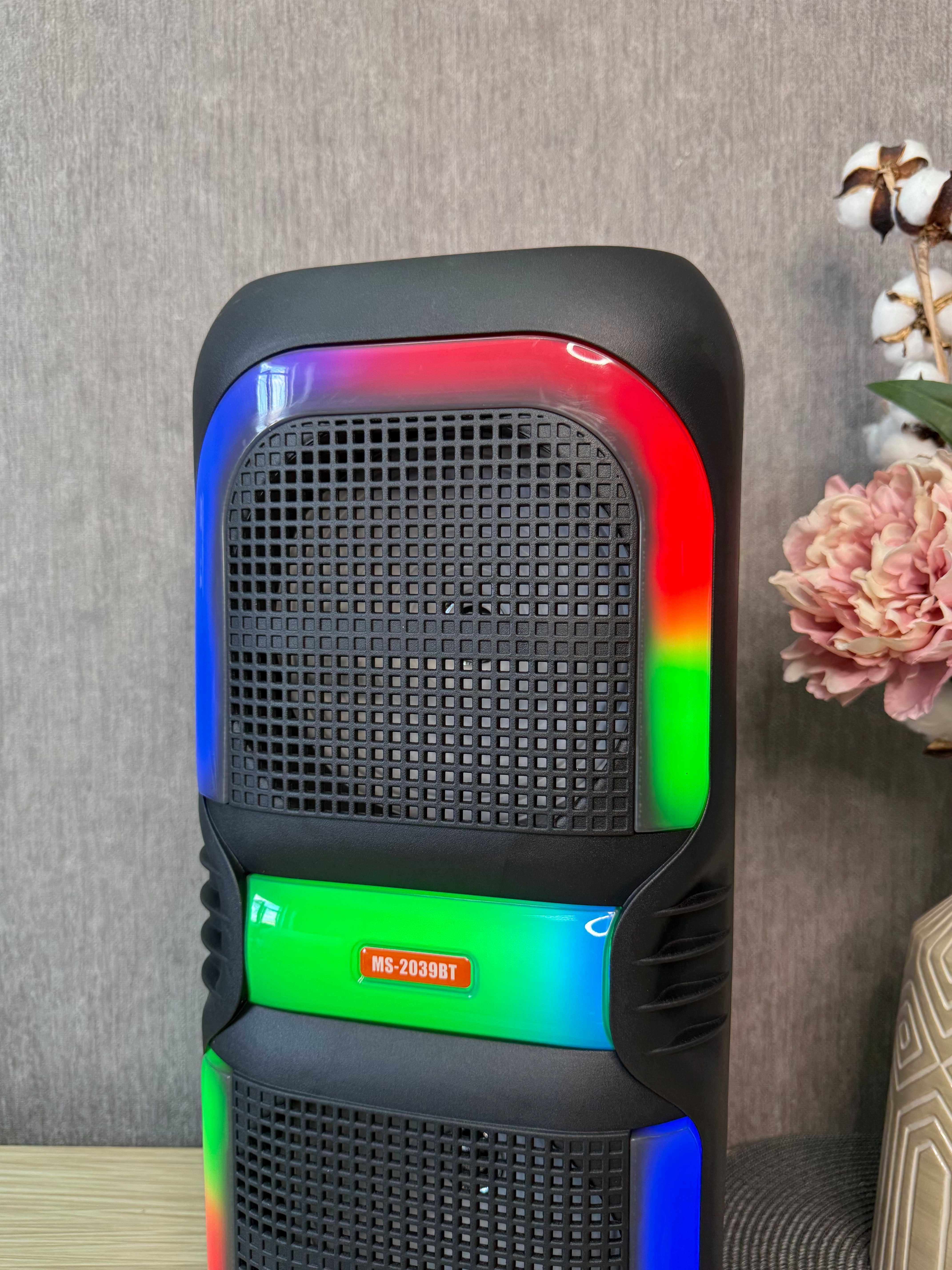 Портативная акустика-чемодан MS-2039BT 50 Вт с Bluetooth, FM-радио