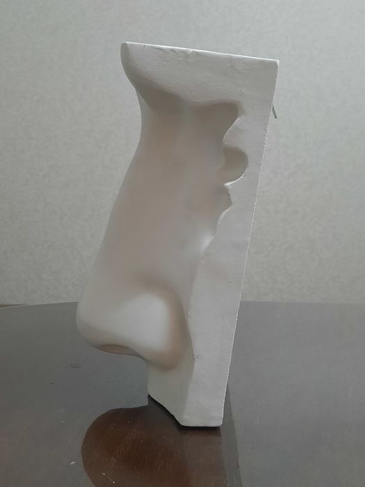 Частини обличчя Давида