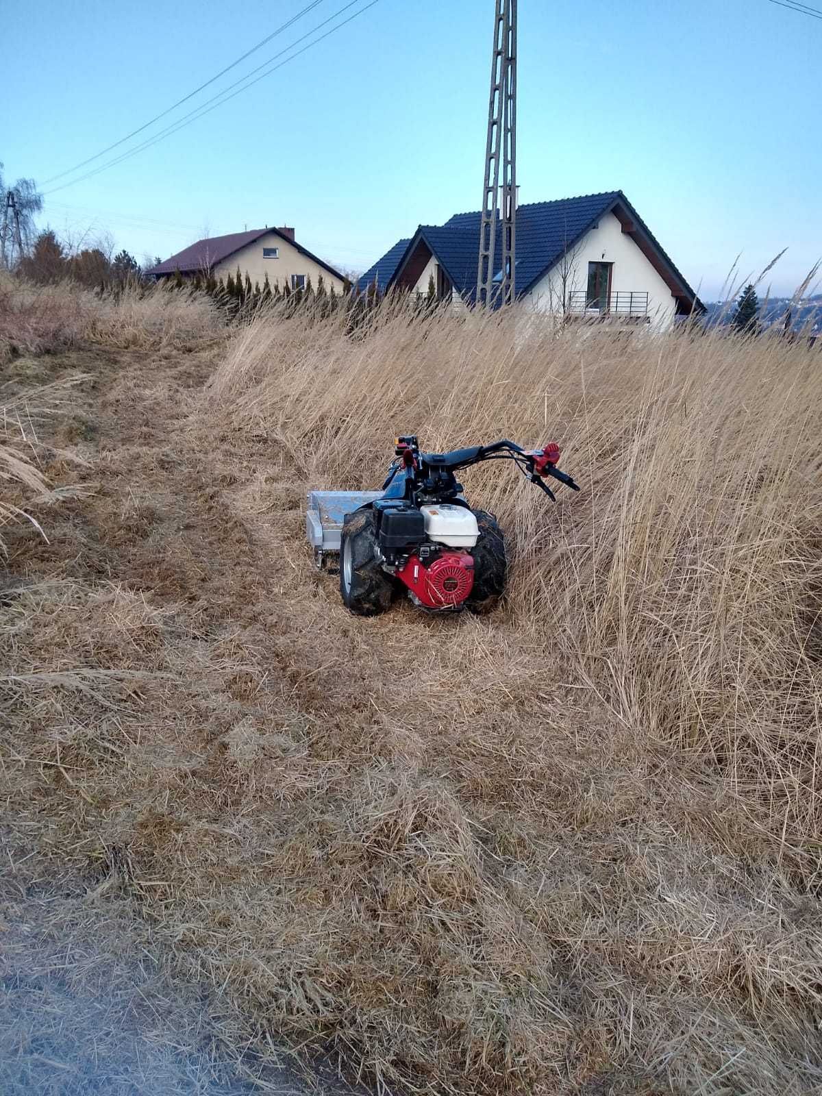 Koszenie wysokiej trawy,samosiejek, mielarka rębak , kosiarka bijakowa