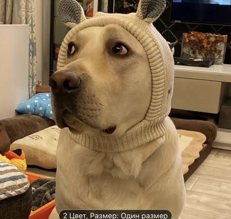 Шапка зимова для собаки