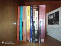 Livros excelentes autores N. Sparks, S. Modignani, 50 Sombras de Grey