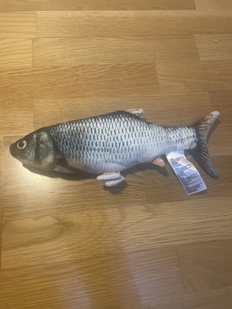 Peixe que se mexe gatos