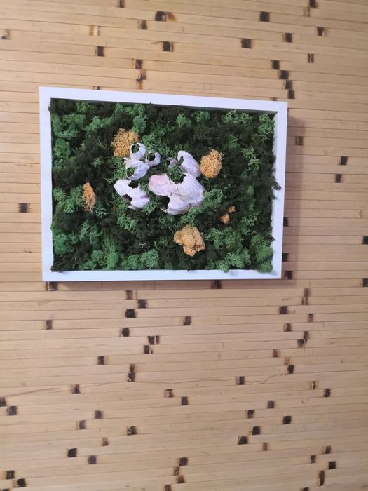 Картина стабилизированный мох