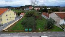 Terreno rústico, para venda, Anadia - S. Lourenço do Bairro
