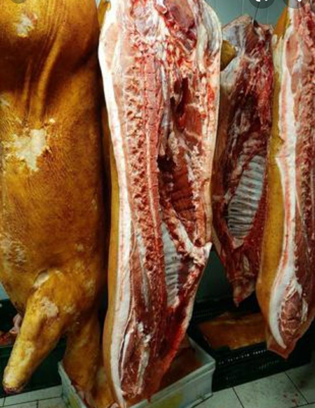 Свинина мясо Туши-полутуши домашнее мясо