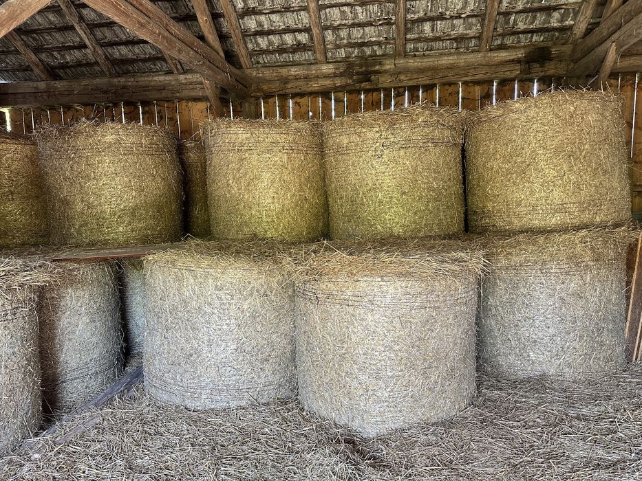 Sprzedam słome z owsa, pszenicy żniwa sezon 2025 baloty 120x120