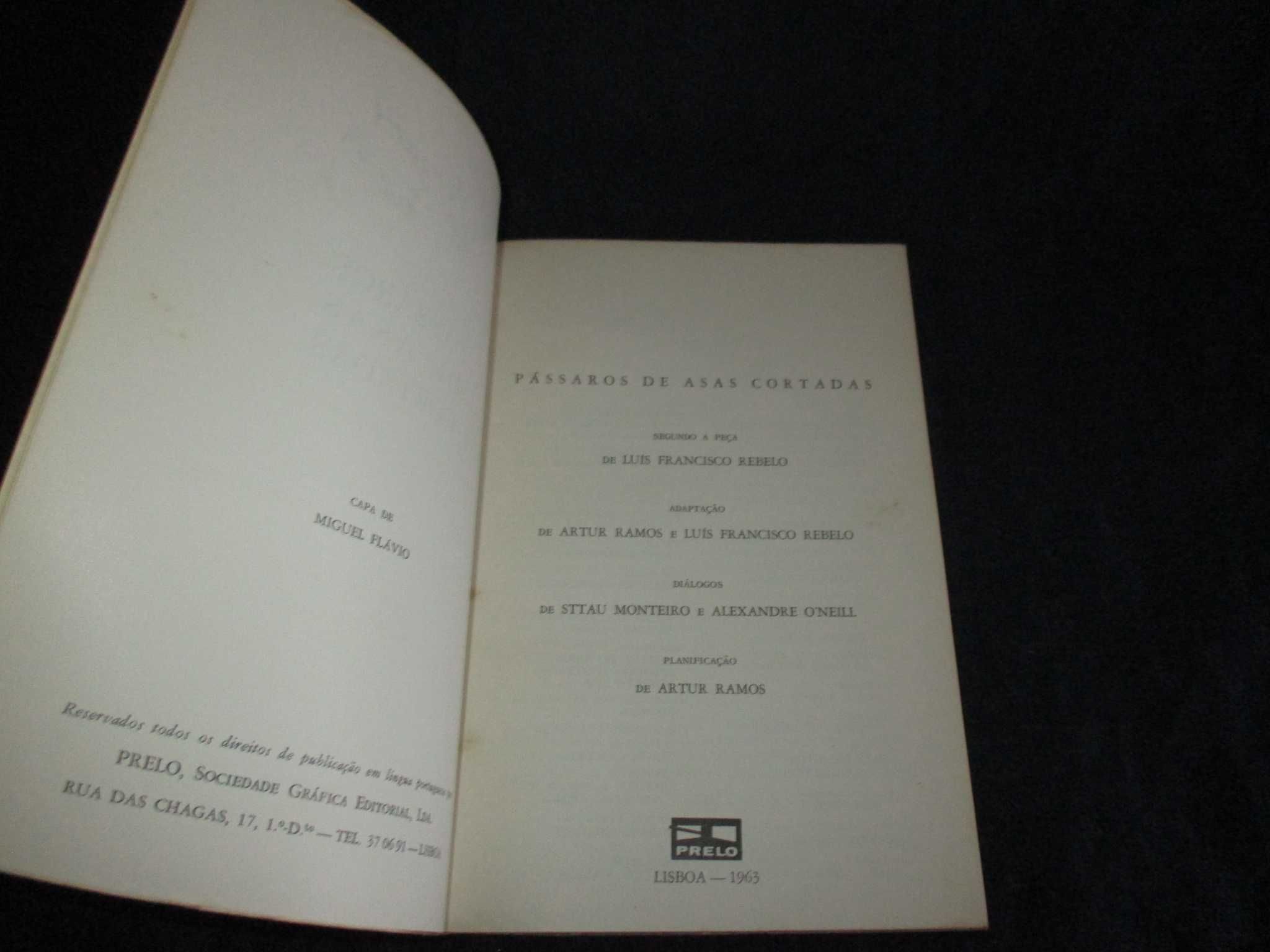 Livro Guião Pássaros de Asas Cortadas Luís Francisco Rebelo