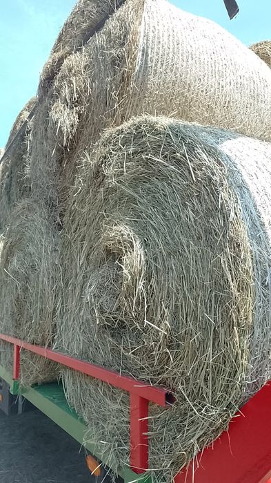 Siano i sianokiszonka sprzedam