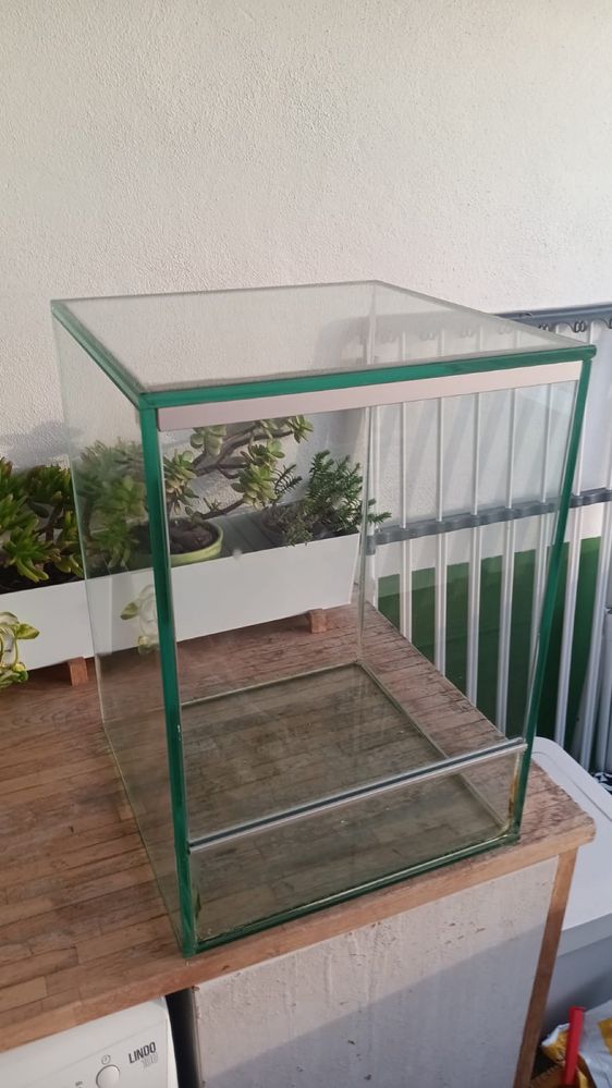 Terrário / aquario para plantas e animais