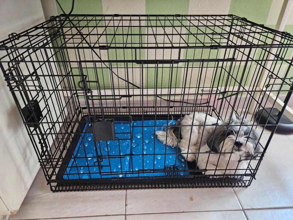 Klatka dla psa kota transporter składana NOWA do samochodu podróży