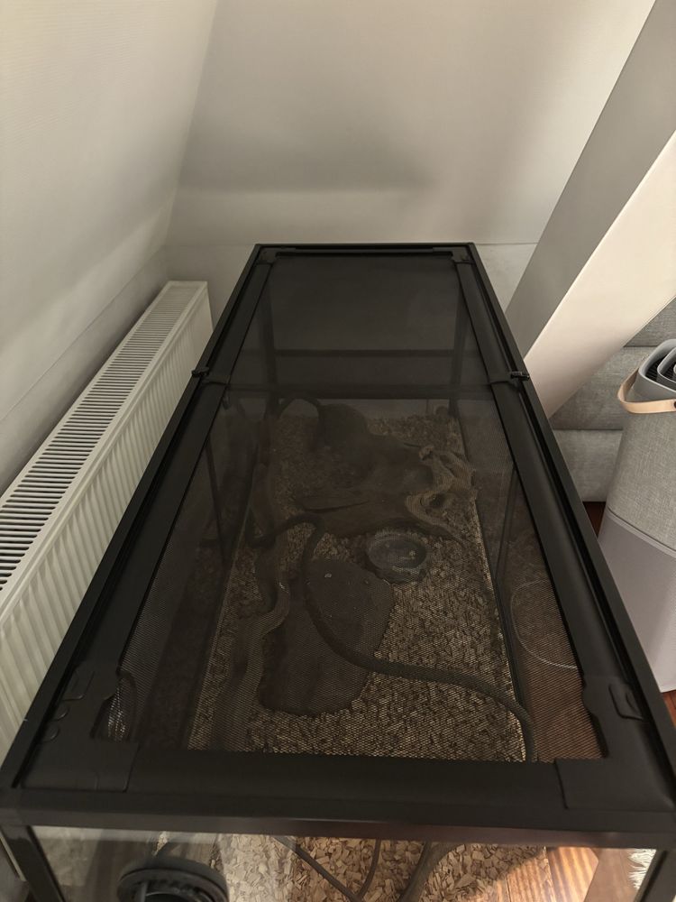 Terarium do gadów i tym podone