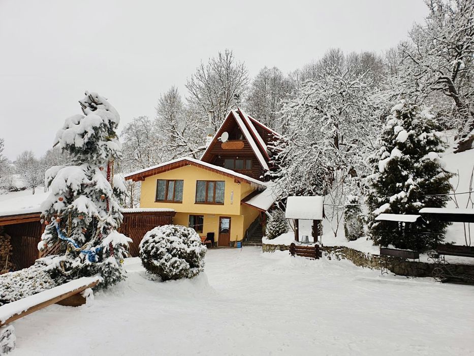 Відпочинок в Карпатах