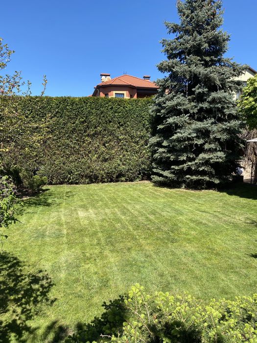 Скарифікація, аерація газону, догляд за газоном