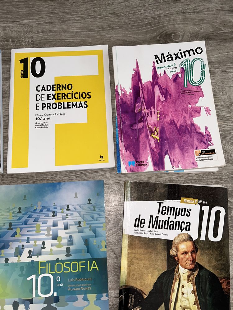 10 ano e 11 Manuais e guias de estudo/cadernos de atividade