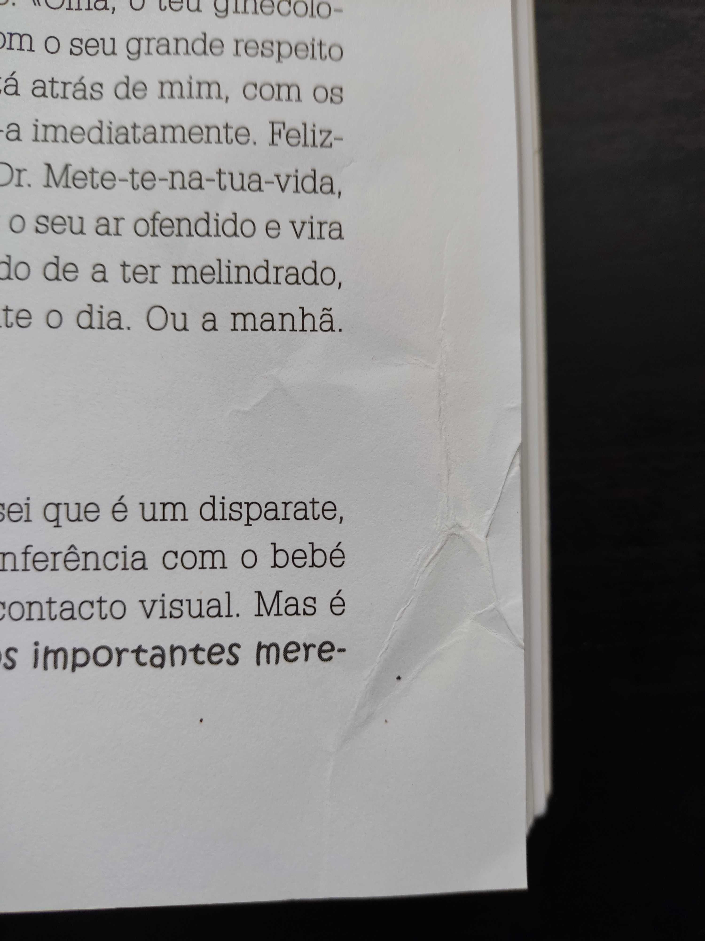 Livro "O diário da minha gravidez"