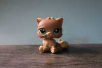 Brązowy kotek perski Littlest Pet Shop LPS Hasbro